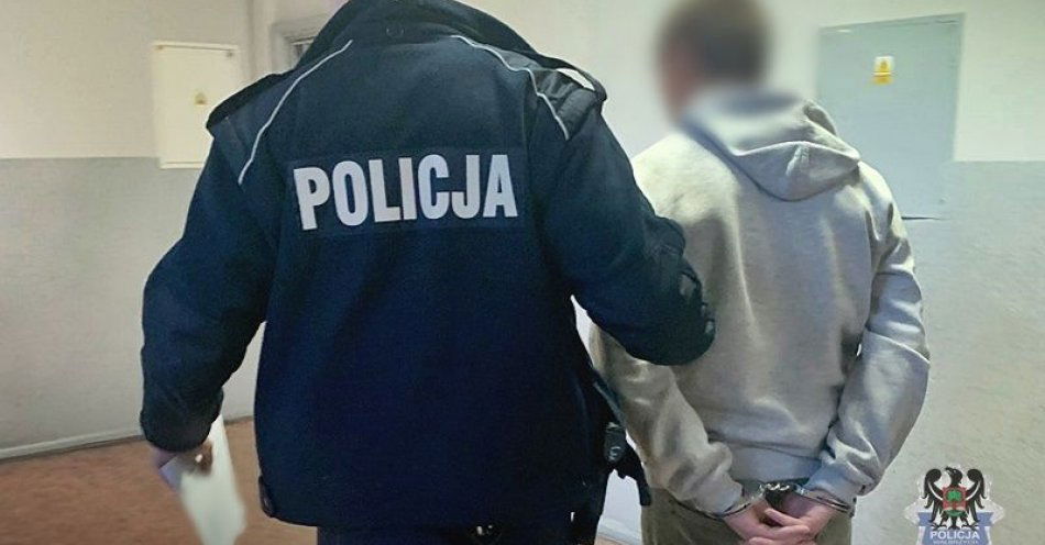 zdjęcie: Od weekendu kolejna seria zatrzymanych poszukiwanych. Tym razem wpadło łącznie dziewięć osób ukrywających się przed wymiarem sprawiedliwości / fot. KMP w Wałbrzychu