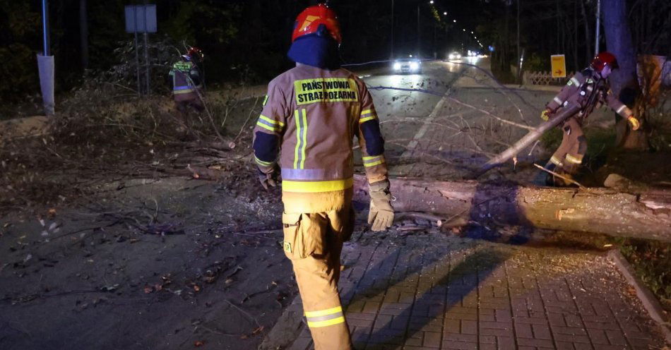 zdjęcie: Odnotowano 173 zgłoszenia związane z usuwaniem skutków silnego wiatru / fot. PAP