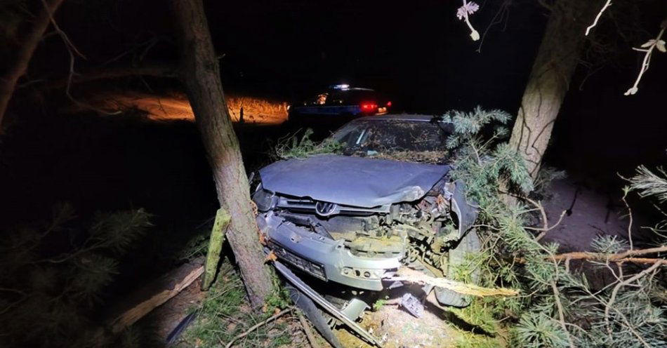 zdjęcie: Na drogę wybiegło zwierzę… Auto uderzyło w drzewa / fot. KPP w Wyszkowie