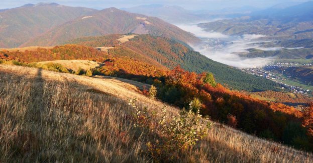 W Bieszczadach złota polska jesień, ale prognozowany deszcz i ochłodzenie