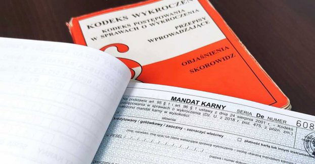 Kradzieże alkoholu, chemii, słodyczy, lampy, narzędzi, roweru