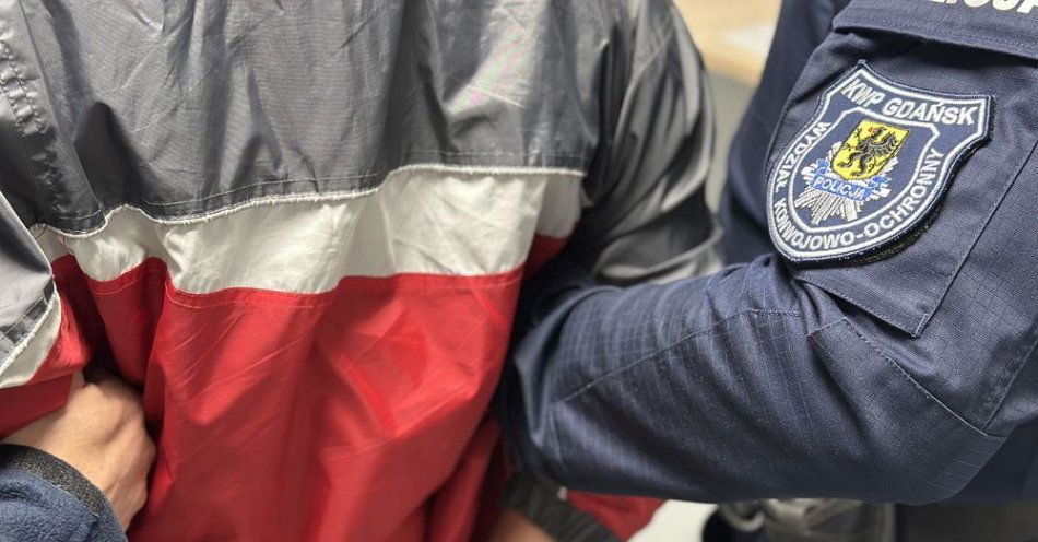 zdjęcie: 27-latek odpowie za kradzież, był też poszukiwany do odbycia kary 5 innych kradzieży / fot. KMP w Gdańsku