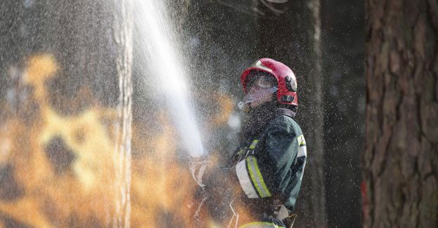 Oszuści próbują zbierać pieniądze na gaszenie pożaru w Biebrzańskim PN