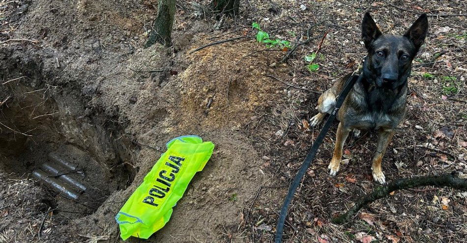 zdjęcie: Zduńskowolanin myślał, że znalazł metalowe rury, a okazało się, że to pociski artyleryjskie / fot. KPP w Zduńskiej Woli