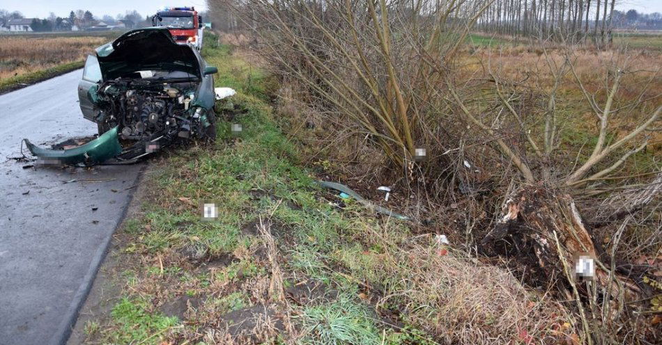 zdjęcie: Młody kierowca Audi uderzył w drzewo w Cześnikach / fot. KMP Zamość