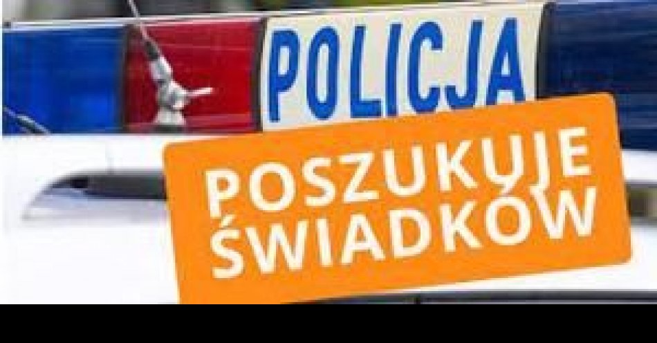 zdjęcie: Poszukujemy świadków wypadku drogowego zaistniałego w Kisielewie  w dniu 10 grudnia 2023 roku o godz. 18.45 / fot. KPP w Sierpcu