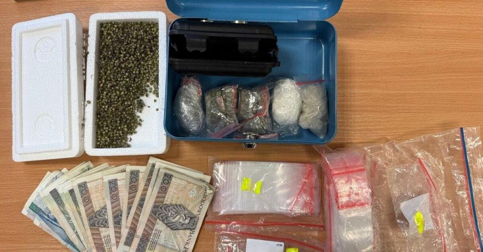 zdjęcie: Tymczasowy areszt dla 33 latka za narkotyki w Brzostku / fot. KPP w Dębicy fot. KPP Dębica