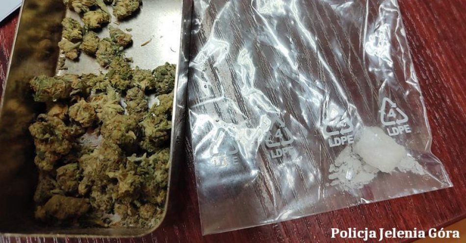 zdjęcie: Policjanci zatrzymali parę z narkotykami  i poszukiwanego listem gończym, który posiadał marihuanę / fot. KMP w Jeleniej Górze
