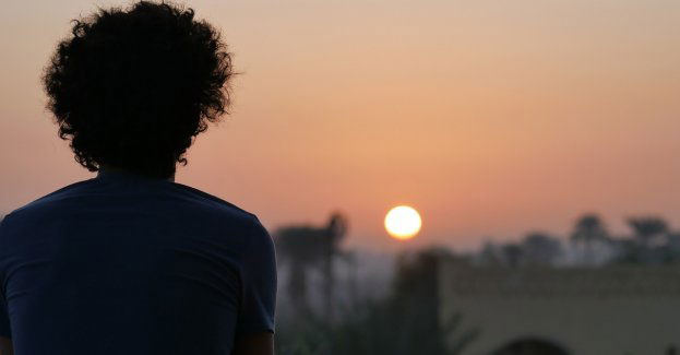 Egipcjanie i ich kurier zatrzymani przez funkcjonariuszy SG