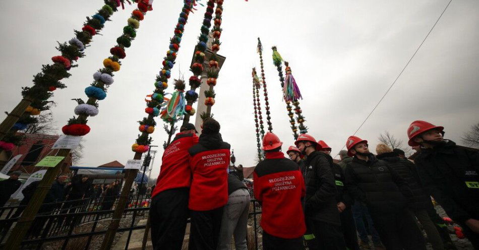 zdjęcie: Konkurs Lipnickich Palm rozstrzygnięty, zwycięska palma liczy 35,8 metrów / Lipnica Murowana, 29.03.2026. 67. Konkurs na najpiękniejszą palmę wielkanocną na Rynku w Lipnicy Murowanej w Niedzielę Palmową, 29 bm. Lipnicki konkurs palm odbywa się od 1958 r., ale mieszkańcy tej i okolicznych miejscowości konkurują ze sobą o długość palm od niepamiętnych czasów. (amb) PAP/Łukasz Gągulski