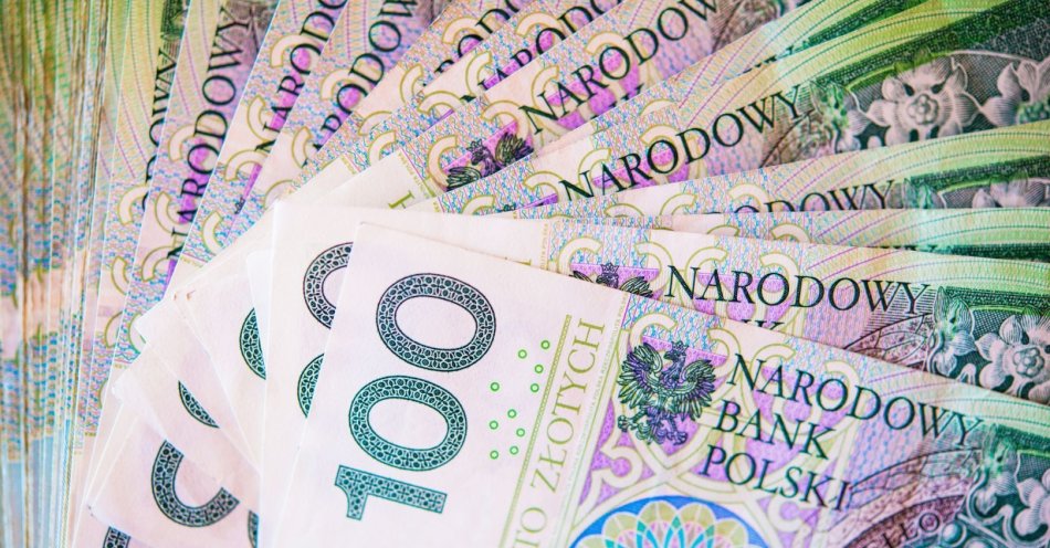 zdjęcie: Prabuty z dofinansowaniem na kastrację i czipowanie kotów / v24636971