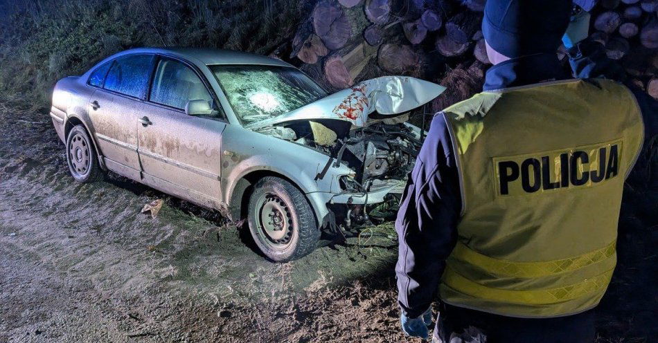 zdjęcie: Volkswagen rozbity przy drzewie w Błąkałach. Policja bada przyczyny / fot. KPP w Gołdapi