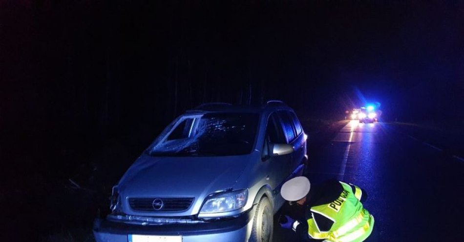 zdjęcie: Policjanci pracowali na miejscu śmiertelnego potrącenia / fot. KPP w Chojnicach