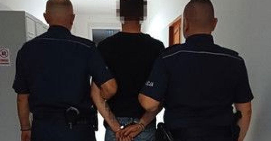 zdjęcie: Policjanci z Myszyńca i kryminalni z Ostrołęki zabezpieczyli blisko 2 kilogramy marihuany / fot. KMP w Ostrołęce