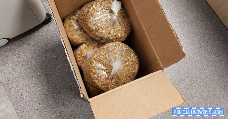zdjęcie: Lwóweccy kryminalni zabezpieczyli nielegalny tytoń / fot. KPP w Lwówku Śląskim