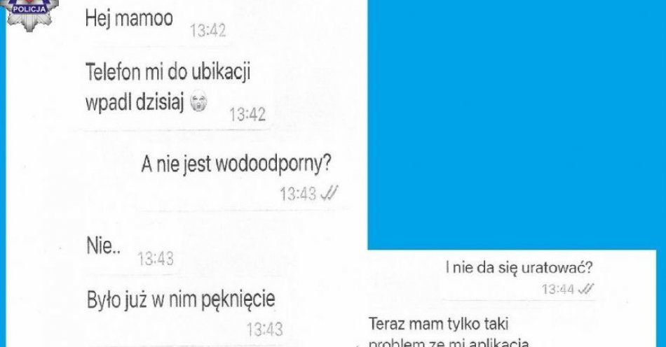 zdjęcie: Podszywając się pod syna oszukał 66-latkę / fot. KMP Zamość