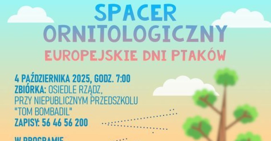 zdjęcie: Spacer Ornitologiczny już w ten weekend / fot. UM Grudziądz