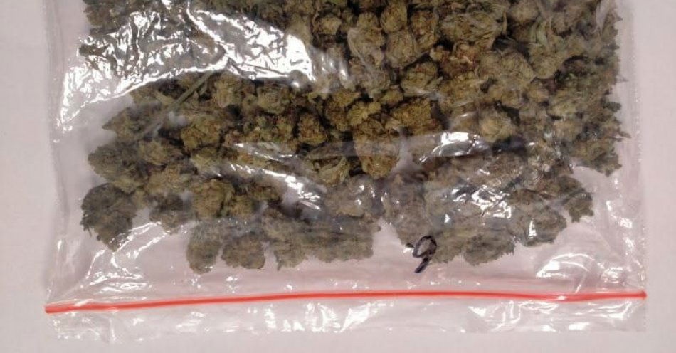 zdjęcie: Rypin: 34 letni mieszkaniec zatrzymany z ponad 150 g narkotyków / fot. KPP w Rypinie