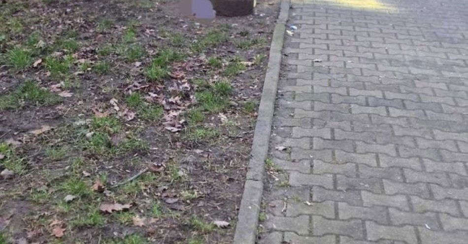 zdjęcie: Zima i wychłodzenia jak jeden telefon może uratować życie / fot. KMP w Jastrzębiu Zdroju