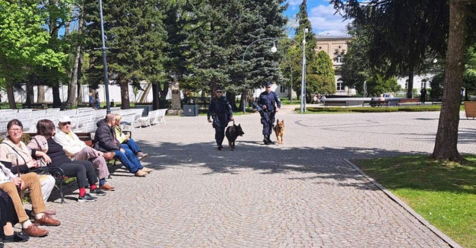 zdjęcie: Policyjni przewodnicy zabezpieczali imprezy plenerowe i czuwali nad bezpieczeństwem / fot. KPP Inowrocław