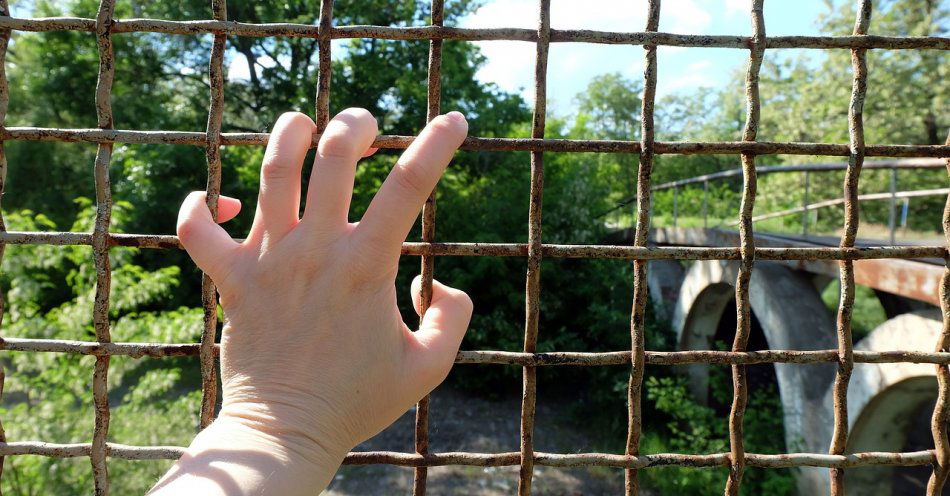 zdjęcie: Kolejni poszukiwani trafili za kratki / pixabay/2369001