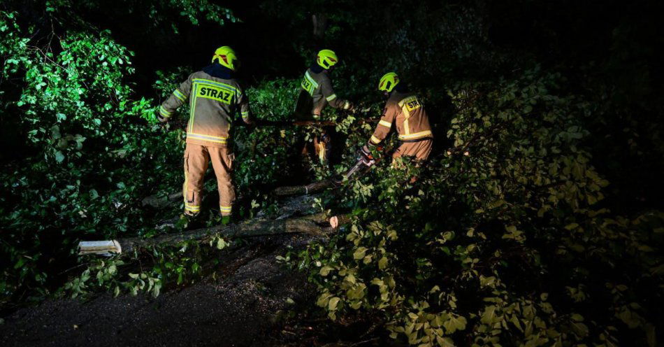 zdjęcie: W piątek 341 interwencji związanych z silnym wiatrem / fot. PAP