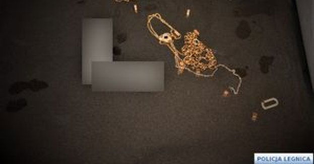 Areszt dla seryjnego złodzieja, który okradał metodą na tzw. „klamkę”