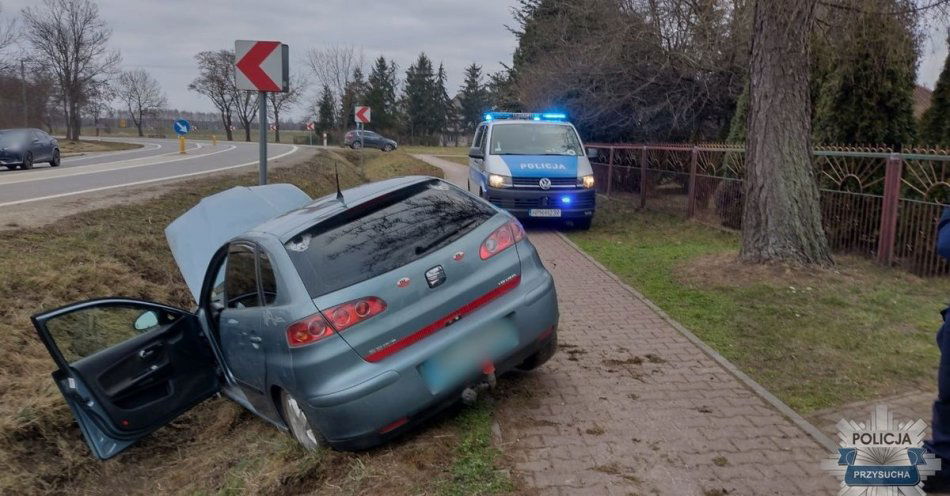 zdjęcie: Wypadek w Wieniawie. Kierujący wpadł autem do przydrożnego rowu / fot. KPP w Przysusze