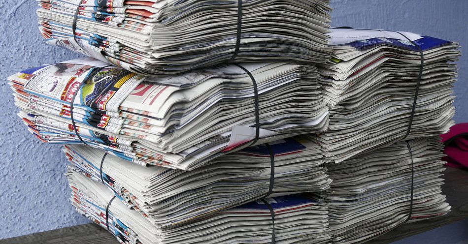 zdjęcie: Liderzy segregacji z bytomskich szkół i przedszkoli wyłonieni / pixabay/2586624