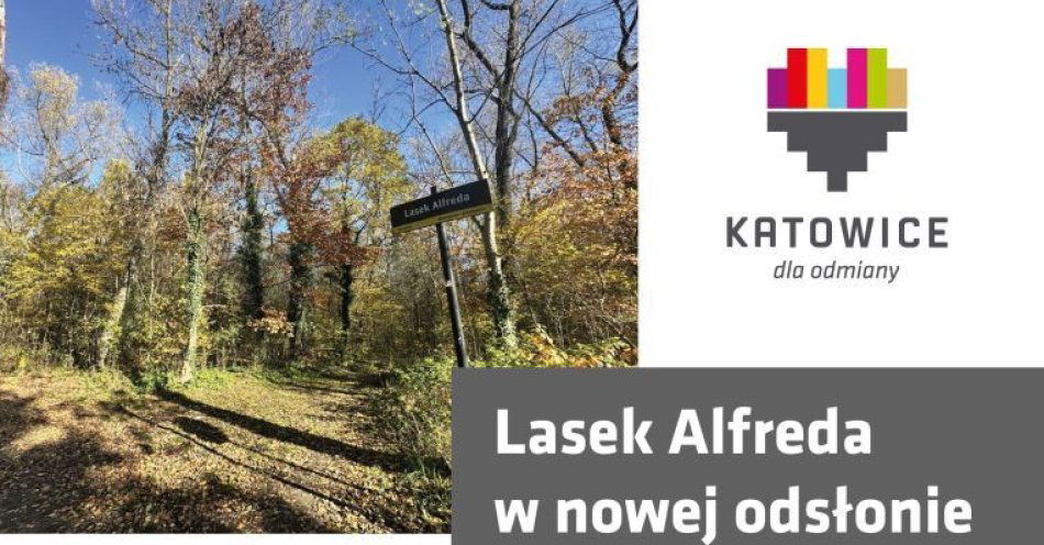 zdjęcie: Wiosenny spacer badawczy w Lasku Alfreda / fot. nadesłane