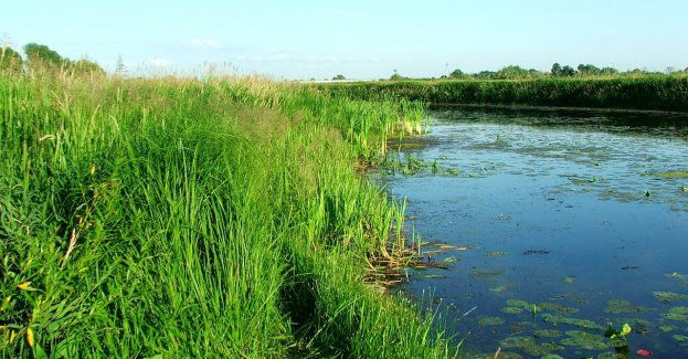 Policjanci wyciągnęli mężczyznę z rzeki