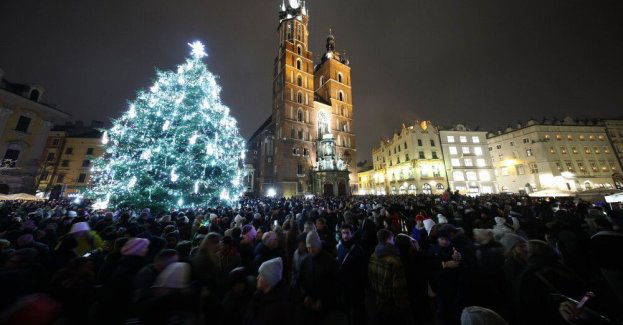 Na Rynku Głównym w Krakowie rozbłysła 15-metrowa choinka