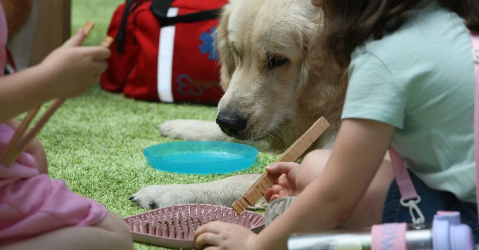 zdjęcie: Edukacyjne psie warsztaty w Centrum Handlowym Sarni Stok / fot. nadesłane