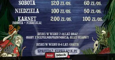 VI Festiwal Baby Jagi