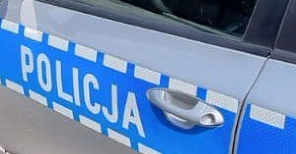 zdjęcie: Pomimo sądowych zakazów prowadzenia pojazdów wsiedli za kierownicę samochodów / fot. KPP w Zgorzelcu
