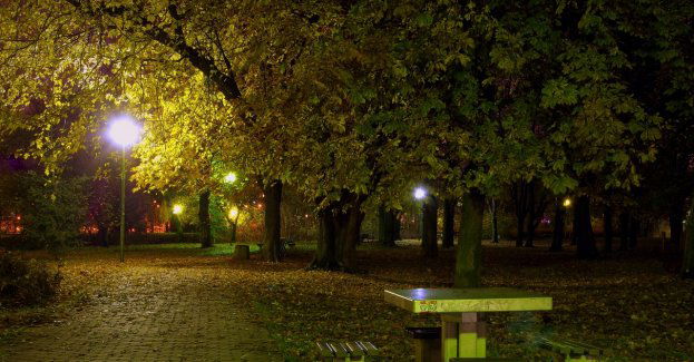 Gang sutenerów rozbity; pod przykrywką klubu nocnego prowadził agencję towarzyską w Warszawie