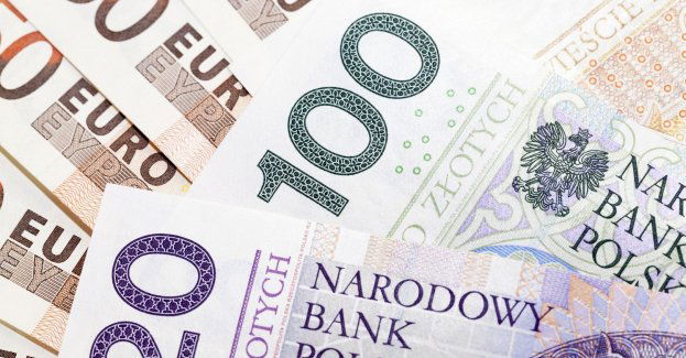 Ekstraklasa piłkarska - czy Pogoń Szczecin będzie kanadyjska?