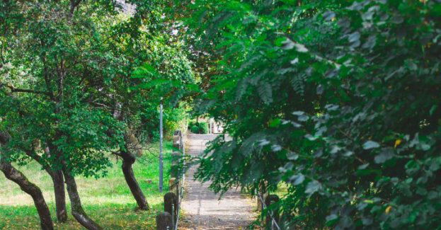 Służby ustalają, czy znalezione w lesie przedmioty należą do Grzegorza Borysa
