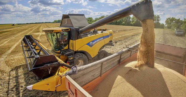 Ogłoszone zostaną listy firm, które zarobiły na imporcie zboża z Ukrainy