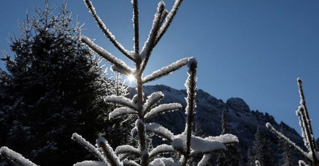 Czekają nas mroźne i słoneczne święta