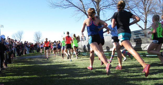 Siódmy Żarowski Bieg Strefowy już w najbliższą niedzielę. Utrudnienia w ruchu