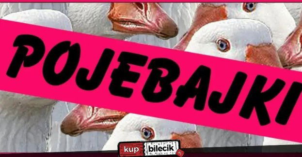 Pojebajki - czyli późne wieczorynki dla dorosłych