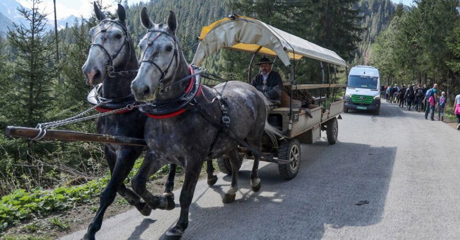 zdjęcie: Kolejki do wozów konnych nad Morskie Oko. 