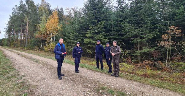 Policja i leśnicy walczą z kradzieżą stroiszu