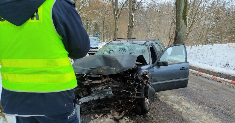 zdjęcie: Zdarzenie drogowe w Wilczkowie / fot. KPP w Lidzbarku Warmińskim