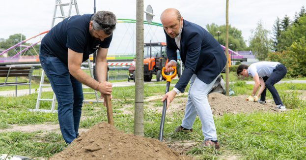 Inicjatywa młodych rzeszowian – kolejne drzewa w pobliżu Wisłoka
