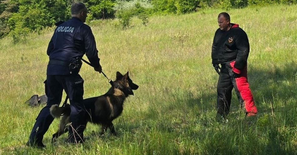 zdjęcie: Eliminacje Wojewódzkie do XXII Kynologicznych Mistrzostw Policji za nami / fot. KPP w Rypinie
