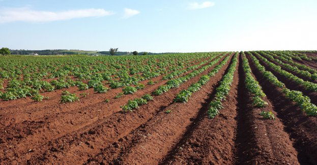 Do końca maja w Trzebini rozpocznie się odwadnianie gruntów
