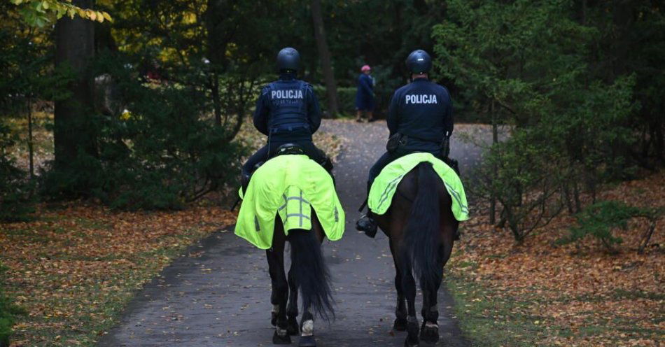 zdjęcie: Dwa konie Moradez i Resko dołączyły do stołecznej policji / fot. PAP