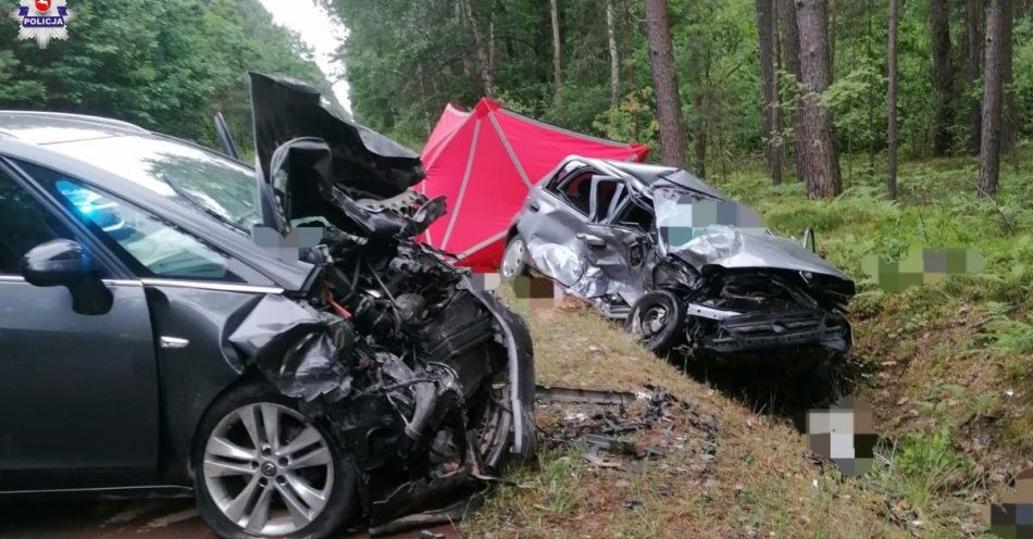 zdjęcie: Śmiertelny wypadek / fot. KPP Biłgoraj